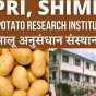 Himachal: 9 से 11 जुलाई तक उड़ीसा के 25 किसान शिमला में सीखेंगे आलू की नई तकनीक, किसानों को आलू की नई किस्मों के बारे में किया जाएगा&nbsp;जागरूक